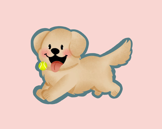 Golden Retriever Cute